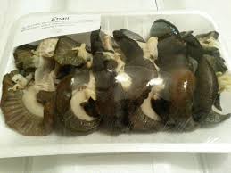 38024PP25 Minimalists Analog Watch